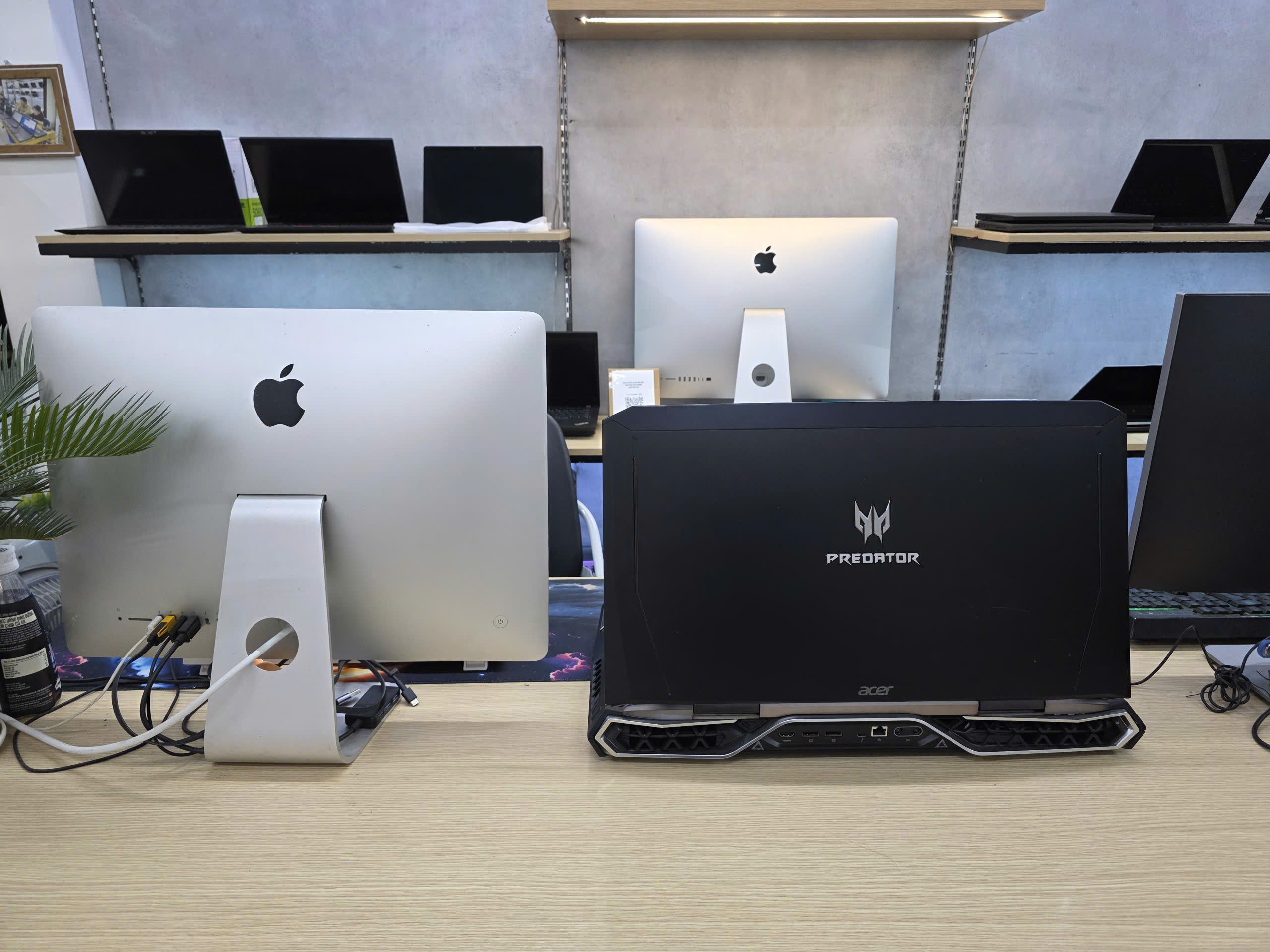 21890081243281484011